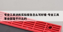 专业工具训练实验报告怎么写好看-专业工具事业部是干什么的