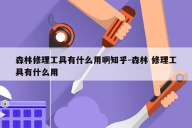 森林修理工具有什么用啊知乎-森林 修理工具有什么用