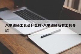 汽车维修工具长什么样-汽车维修所有工具介绍