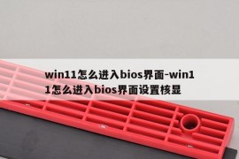 win11怎么进入bios界面-win11怎么进入bios界面设置核显