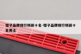 钳子品牌排行榜前十名-钳子品牌排行榜前十名男士