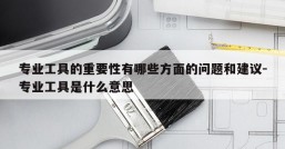 专业工具的重要性有哪些方面的问题和建议-专业工具是什么意思