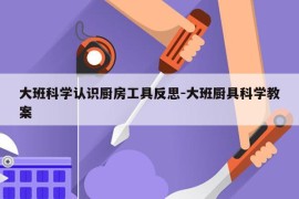 大班科学认识厨房工具反思-大班厨具科学教案