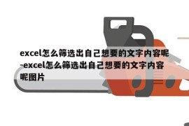 excel怎么筛选出自己想要的文字内容呢-excel怎么筛选出自己想要的文字内容呢图片