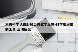 大班科学认识厨房工具教学反思-科学厨房里的工具 活动反思