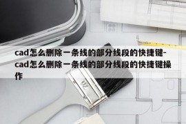 cad怎么删除一条线的部分线段的快捷键-cad怎么删除一条线的部分线段的快捷键操作