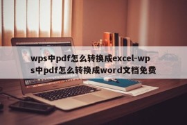 wps中pdf怎么转换成excel-wps中pdf怎么转换成word文档免费