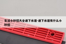 生活小妙招大全通下水道-通下水道有什么小妙招