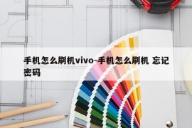 手机怎么刷机vivo-手机怎么刷机 忘记密码