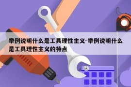 举例说明什么是工具理性主义-举例说明什么是工具理性主义的特点