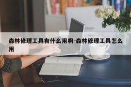 森林修理工具有什么用啊-森林修理工具怎么用