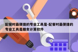 配餐时最便捷的专业工具是-配餐时最便捷的专业工具是膳食计算软件