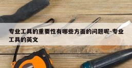 专业工具的重要性有哪些方面的问题呢-专业工具的英文