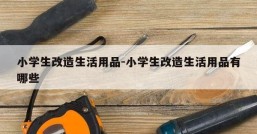 小学生改造生活用品-小学生改造生活用品有哪些