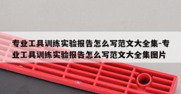 专业工具训练实验报告怎么写范文大全集-专业工具训练实验报告怎么写范文大全集图片