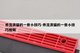 养流浪猫的一些小技巧-养流浪猫的一些小技巧视频