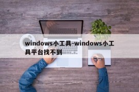 windows小工具-windows小工具平台找不到