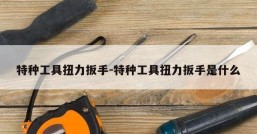 特种工具扭力扳手-特种工具扭力扳手是什么