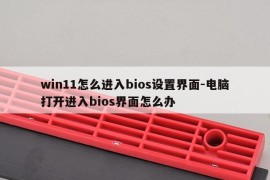 win11怎么进入bios设置界面-电脑打开进入bios界面怎么办