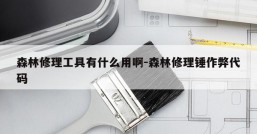 森林修理工具有什么用啊-森林修理锤作弊代码