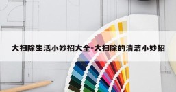 大扫除生活小妙招大全-大扫除的清洁小妙招
