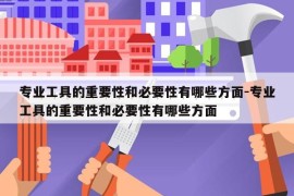 专业工具的重要性和必要性有哪些方面-专业工具的重要性和必要性有哪些方面