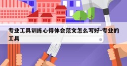 专业工具训练心得体会范文怎么写好-专业的工具