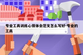 专业工具训练心得体会范文怎么写好-专业的工具