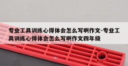 专业工具训练心得体会怎么写啊作文-专业工具训练心得体会怎么写啊作文四年级