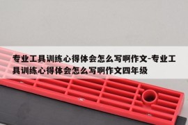 专业工具训练心得体会怎么写啊作文-专业工具训练心得体会怎么写啊作文四年级