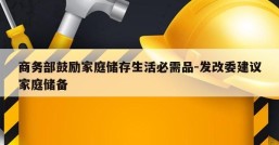 商务部鼓励家庭储存生活必需品-发改委建议家庭储备