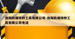 渤海防爆特种工具有限公司-渤海防爆特种工具有限公司电话