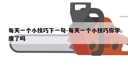 每天一个小技巧下一句-每天一个小技巧你学废了吗