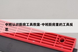 中班认识厨房工具教案-中班厨房里的工具反思