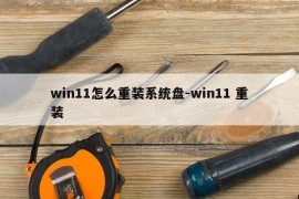 win11怎么重装系统盘-win11 重装