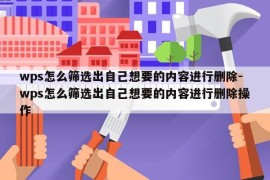 wps怎么筛选出自己想要的内容进行删除-wps怎么筛选出自己想要的内容进行删除操作