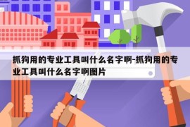 抓狗用的专业工具叫什么名字啊-抓狗用的专业工具叫什么名字啊图片