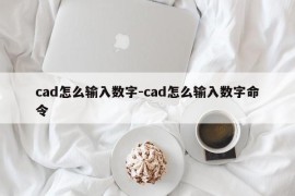 cad怎么输入数字-cad怎么输入数字命令