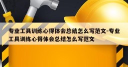 专业工具训练心得体会总结怎么写范文-专业工具训练心得体会总结怎么写范文