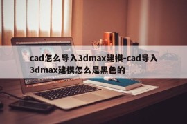 cad怎么导入3dmax建模-cad导入3dmax建模怎么是黑色的