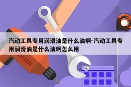 汽动工具专用润滑油是什么油啊-汽动工具专用润滑油是什么油啊怎么用