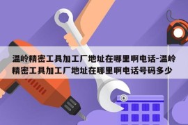 温岭精密工具加工厂地址在哪里啊电话-温岭精密工具加工厂地址在哪里啊电话号码多少