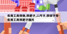 农用工具铁锹,铁耙子,二尺子,铁钗子等-农用工具铁耙子图片