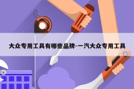 大众专用工具有哪些品牌-一汽大众专用工具