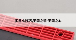 实用小技巧,王国之泪-王国之心