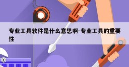 专业工具软件是什么意思啊-专业工具的重要性