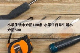 小学生活小妙招100条-小学生日常生活小妙招500
