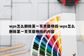 wps怎么删除某一页页眉横线-wps怎么删除某一页页眉横线的内容