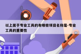 以上属于专业工具的有哪些项目名称是-专业工具的重要性