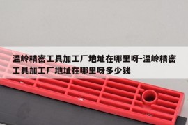 温岭精密工具加工厂地址在哪里呀-温岭精密工具加工厂地址在哪里呀多少钱